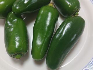 トウガラシの王様 暮らしニスタ トウガラシの王様 暮らしニスタ