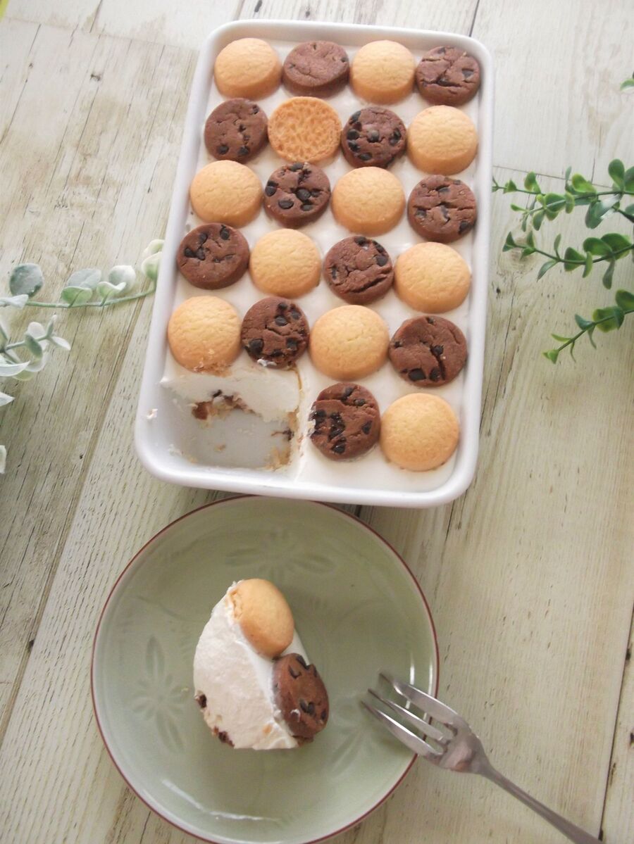 焼かないケーキ フルーツ入りのヨーグルトで レアチーズ風モザイクケーキ 暮らしニスタ