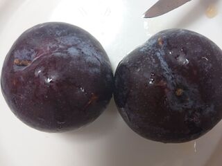 ソルダム に ケルシー のミックス 山梨県のオリジナル品種 暮らしニスタ ソルダム に ケルシー のミックス 山梨県のオリジナル品種 暮らしニスタ