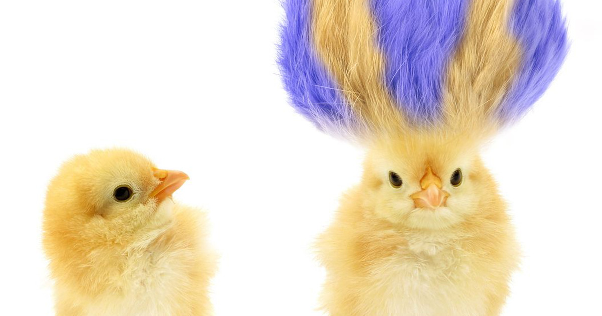 こんなはずじゃ 髪型の失敗エピソード 暮らしニスタ