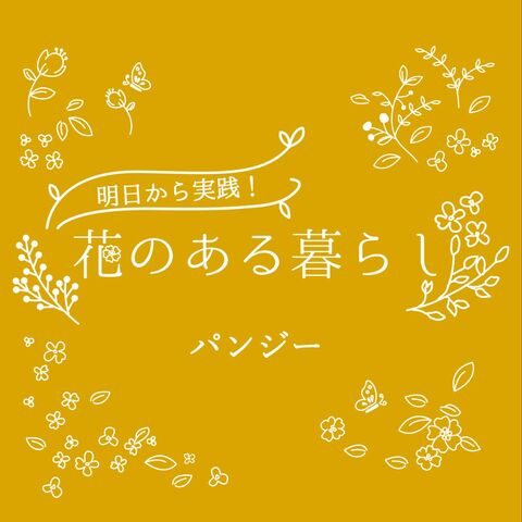 パンジーをもっと知ろう 花言葉や楽しめる季節 種まきから始める育て方 暮らしニスタ パンジーをもっと知ろう 花言葉や楽しめる季節 種まきから始める育て方 暮らしニスタ