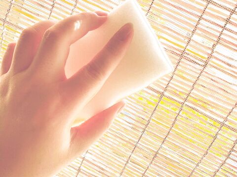 スポンジリユースで簡単網戸のお掃除 暮らしニスタ スポンジリユースで簡単網戸のお掃除 暮らしニスタ