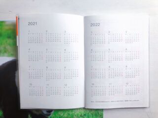 ダイソー 10月始まり21年パンダのスケジュール手帳 暮らしニスタ