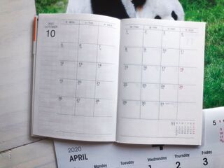 ダイソー 10月始まり21年パンダのスケジュール手帳 暮らしニスタ