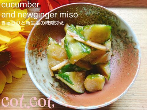 新生姜と味噌で食欲そそる しっとりきゅうりが病みつきに きゅうりと新生姜の味噌炒め 暮らしニスタ 新生姜と味噌で食欲そそる しっとりきゅうりが病みつきに きゅうりと新生姜の味噌炒め 暮らしニスタ
