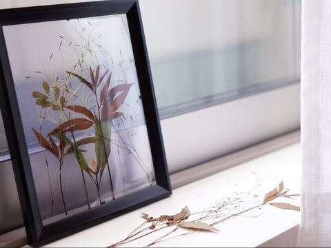 押し花フォトフレームで 初秋インテリア 暮らしニスタ 押し花フォトフレームで 初秋インテリア 暮らしニスタ