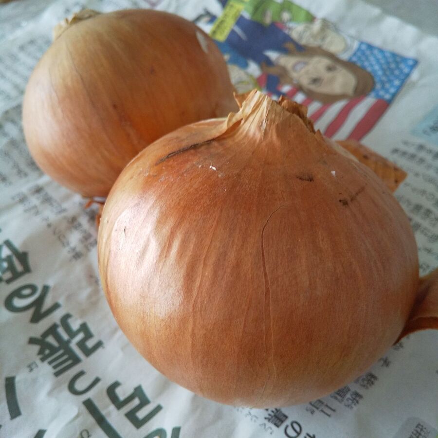 玉ねぎはこの保存で長持ち 目にしみない 暮らしニスタ