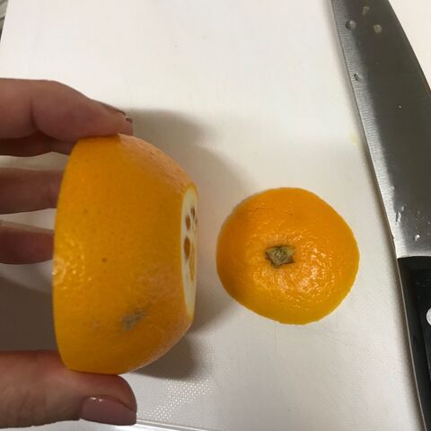 お弁当に入れたくなる 茶色のお弁当を華やかにしてくれる食べやすい オレンジ 暮らしニスタ お弁当に入れたくなる 茶色のお弁当を華やかにしてくれる食べやすい オレンジ 暮らしニスタ