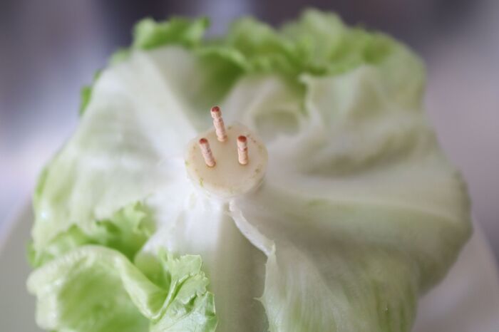 シャキシャキが長持ち レタスを上手に保存する裏技2つ 暮らしニスタ こんにちは 暮らしニスタ 家事コツ研究室 dメニューニュース Nttドコモ シャキシャキが長持ち レタスを上手に保存する裏技2つ 暮らしニスタ こんにちは 暮らしニスタ 家事コツ研究室 dメニューニュース Nttドコモ