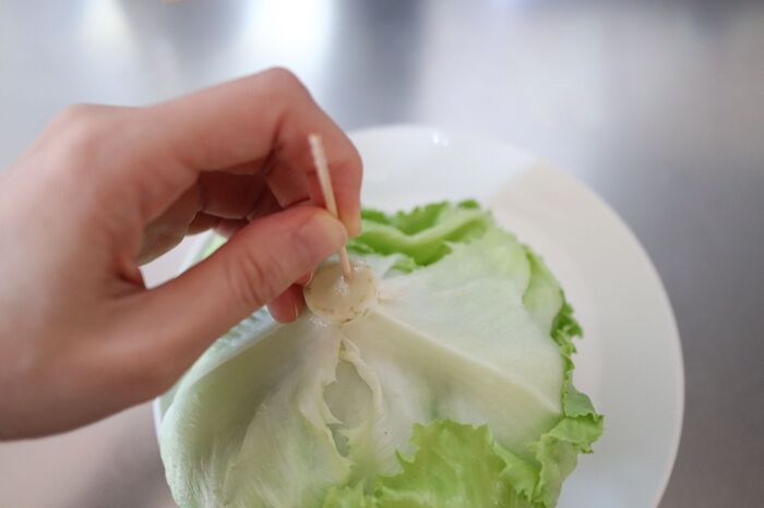 シャキシャキが長持ち レタスを上手に保存する裏技2つ 暮らしニスタ こんにちは 暮らしニスタ 家事コツ研究室 dメニューニュース Nttドコモ シャキシャキが長持ち レタスを上手に保存する裏技2つ 暮らしニスタ こんにちは 暮らしニスタ 家事コツ研究室 dメニューニュース Nttドコモ