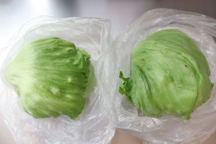 シャキシャキが長持ち レタスを上手に保存する裏技2つ 暮らしニスタ こんにちは 暮らしニスタ 家事コツ研究室 dメニューニュース Nttドコモ シャキシャキが長持ち レタスを上手に保存する裏技2つ 暮らしニスタ こんにちは 暮らしニスタ 家事コツ研究室 dメニューニュース Nttドコモ