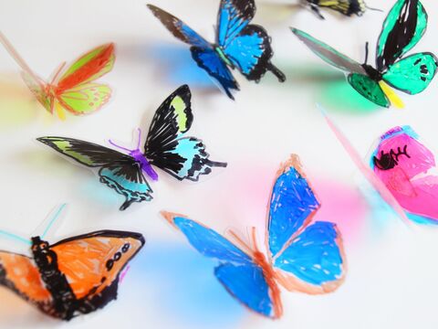 簡単クリアファイル工作 クリアな昆虫トレース 飾り方いろいろ 暮らしニスタ 簡単クリアファイル工作 クリアな昆虫トレース 飾り方いろいろ 暮らしニスタ