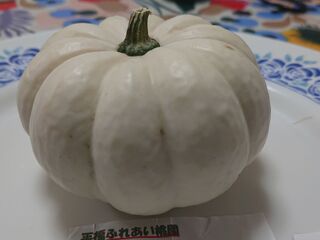 ほくほく甘い 冬にも食べられる白い色の 白皮栗かぼちゃ 暮らしニスタ ほくほく甘い 冬にも食べられる白い色の 白皮栗かぼちゃ 暮らしニスタ