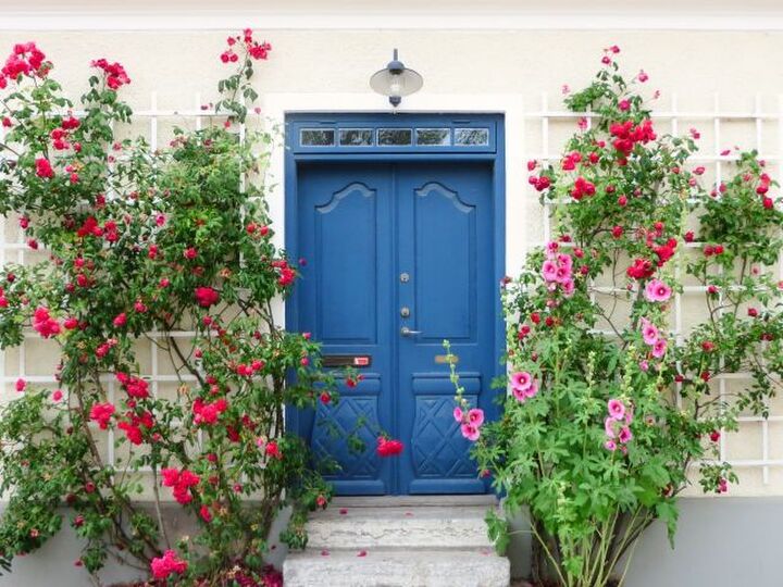 金運は玄関から入ってくる!お金に好かれる玄関をつくる“風水5大ルール”とは?