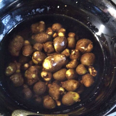 秋の味覚 零余子 むかご のごま油炒め 粗塩をふりかけて ねっとり食感 なんとも言えない美味しさ 暮らしニスタ