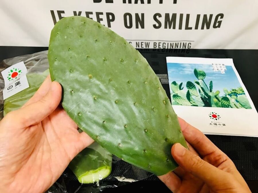 サボテン食べました サボテンは生でも食べれる美味しい夏野菜 暮らしニスタ サボテン食べました サボテンは生でも食べれる美味しい夏野菜 暮らしニスタ