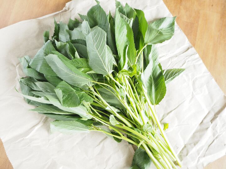 「モロトロ」って知ってる?冷凍保存でいつでもすぐトロトロ料理が味わえる♡