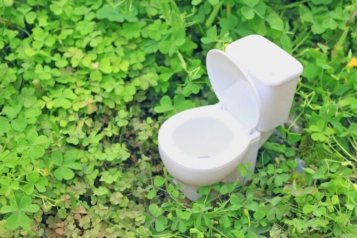 運気が急降下?!やってはいけない “トイレのNG風水”