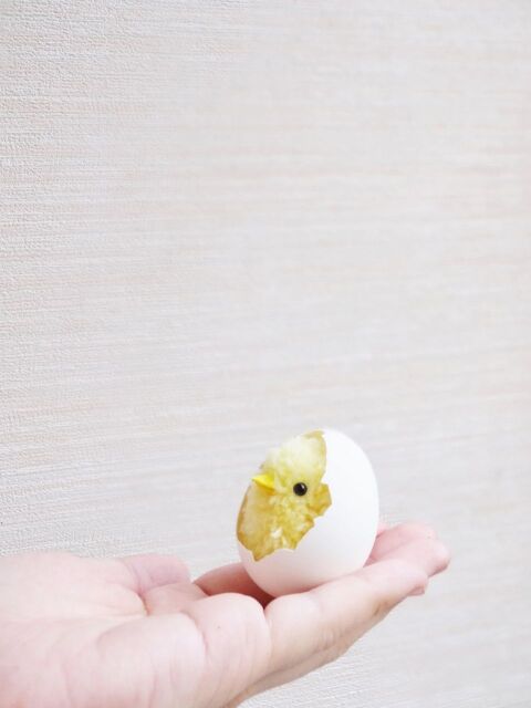 毛糸で作れる 卵から生まれたての可愛いひよこ 暮らしニスタ 毛糸で作れる 卵から生まれたての可愛いひよこ 暮らしニスタ