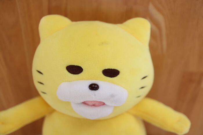 洗濯なしで汚れもダニも一掃 ぬいぐるみをきれいにする方法とは 暮らしニスタ 洗濯なしで汚れもダニも一掃 ぬいぐるみをきれいにする方法とは 暮らしニスタ