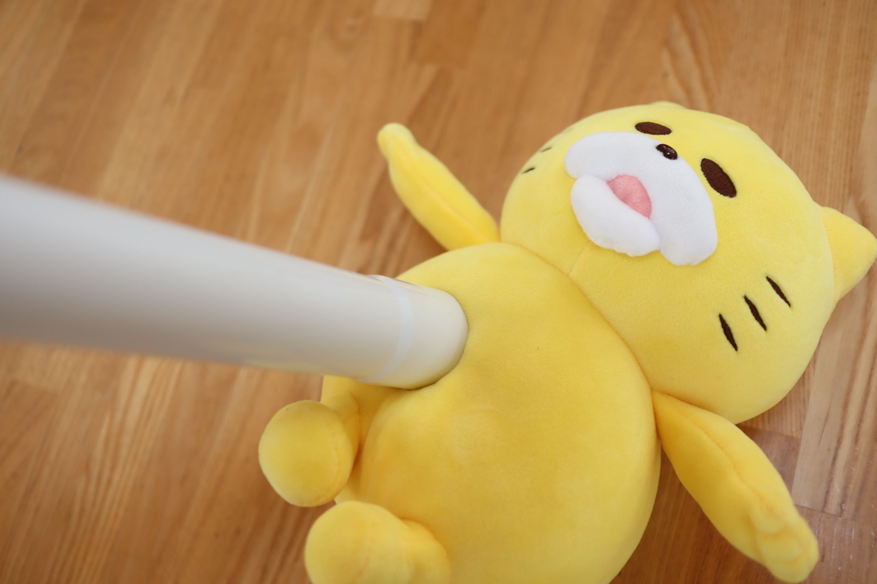 洗濯なしで汚れもダニも一掃 ぬいぐるみをきれいにする方法とは 暮らしニスタ