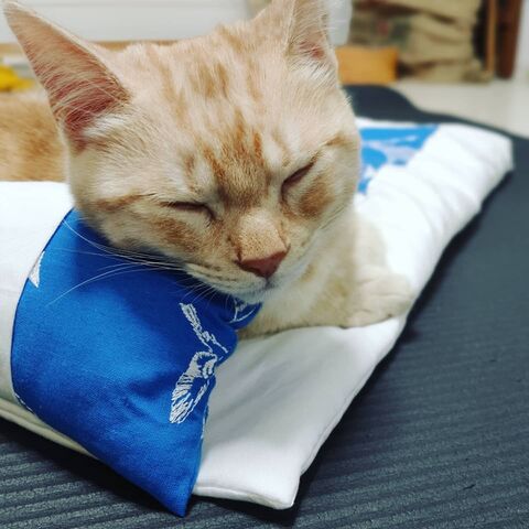 猫さんのお布団をハンドメイド 暮らしニスタ