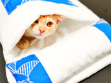 猫さんのお布団をハンドメイド☆