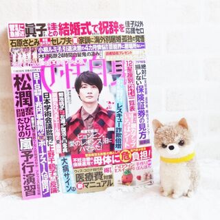 こいとさんの活躍情報一覧 暮らしニスタ