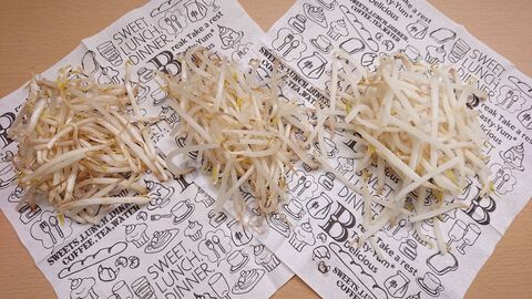 庶民の味方 もやし の保存法 一番いいのはコレ 比べてみた 暮らしニスタ 庶民の味方 もやし の保存法 一番いいのはコレ 比べてみた 暮らしニスタ