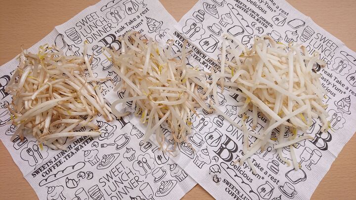 庶民の味方「もやし」の保存法、一番いいのはコレ!【比べてみた】