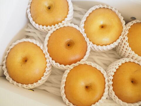 箱買いした 梨 を最後の1個までシャキシャキおいしく食べられる保存法 暮らしニスタ 箱買いした 梨 を最後の1個までシャキシャキおいしく食べられる保存法 暮らしニスタ