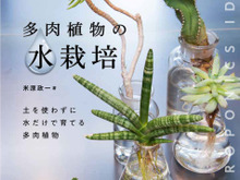 水を替えるだけでOK！新・栽培スタイルの植物を楽しみませんか