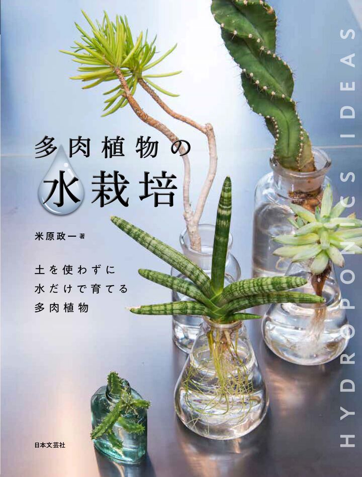 水を替えるだけでOK!新・栽培スタイルの植物を楽しみませんか