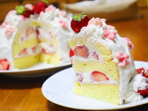 どっちが好み ドームケーキの作り方2種を比較 暮らしニスタ