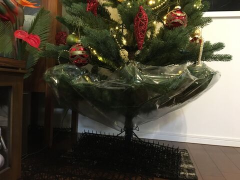 クリスマスツリーをペットのいたずらから守ります 暮らしニスタ