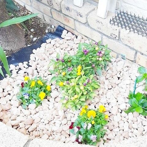 花壇の雑草対策 楽にオシャレに見える防犯砂利 暮らしニスタ 花壇の雑草対策 楽にオシャレに見える防犯砂利 暮らしニスタ