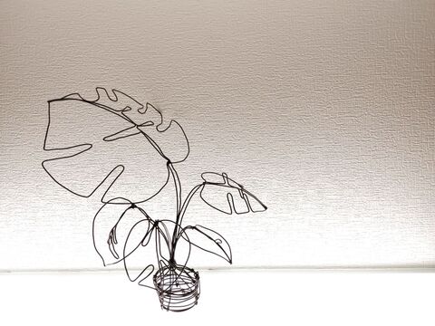 100均ワイヤーでモンステラ 暮らしニスタ 100均ワイヤーでモンステラ 暮らしニスタ