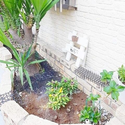 花壇の雑草対策 楽にオシャレに見える防犯砂利 暮らしニスタ 花壇の雑草対策 楽にオシャレに見える防犯砂利 暮らしニスタ