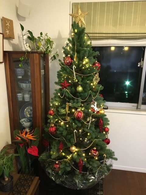 クリスマスツリーをペットのいたずらから守ります 暮らしニスタ