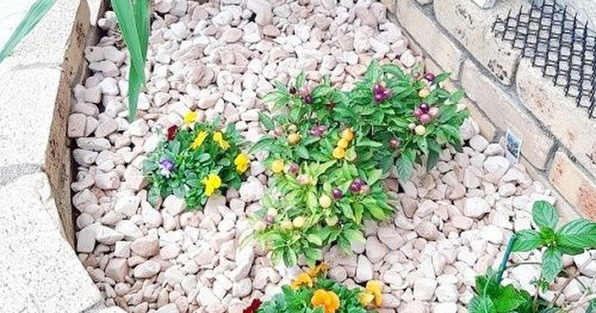 花壇の雑草対策 楽にオシャレに見える防犯砂利 暮らしニスタ