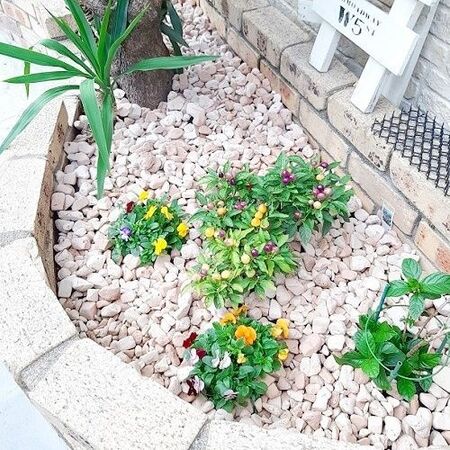 花壇の雑草対策◆楽にオシャレに見える防犯砂利
