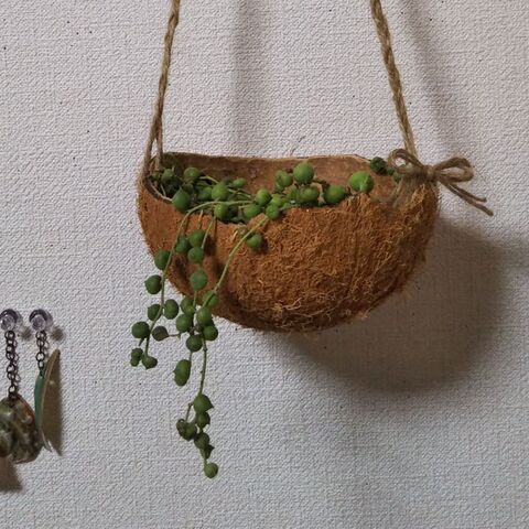 100均の麻ひも ココナッツの殻でハンギングココナッツプランター 暮らしニスタ 100均の麻ひも ココナッツの殻でハンギングココナッツプランター 暮らしニスタ