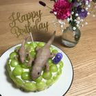 意外と簡単⁉プラチョコで子どもが好きな誕生日ケーキを作っちゃおう！（我が家はカナヘビケーキ）