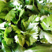 セロリが『安っす〜い時』には💕