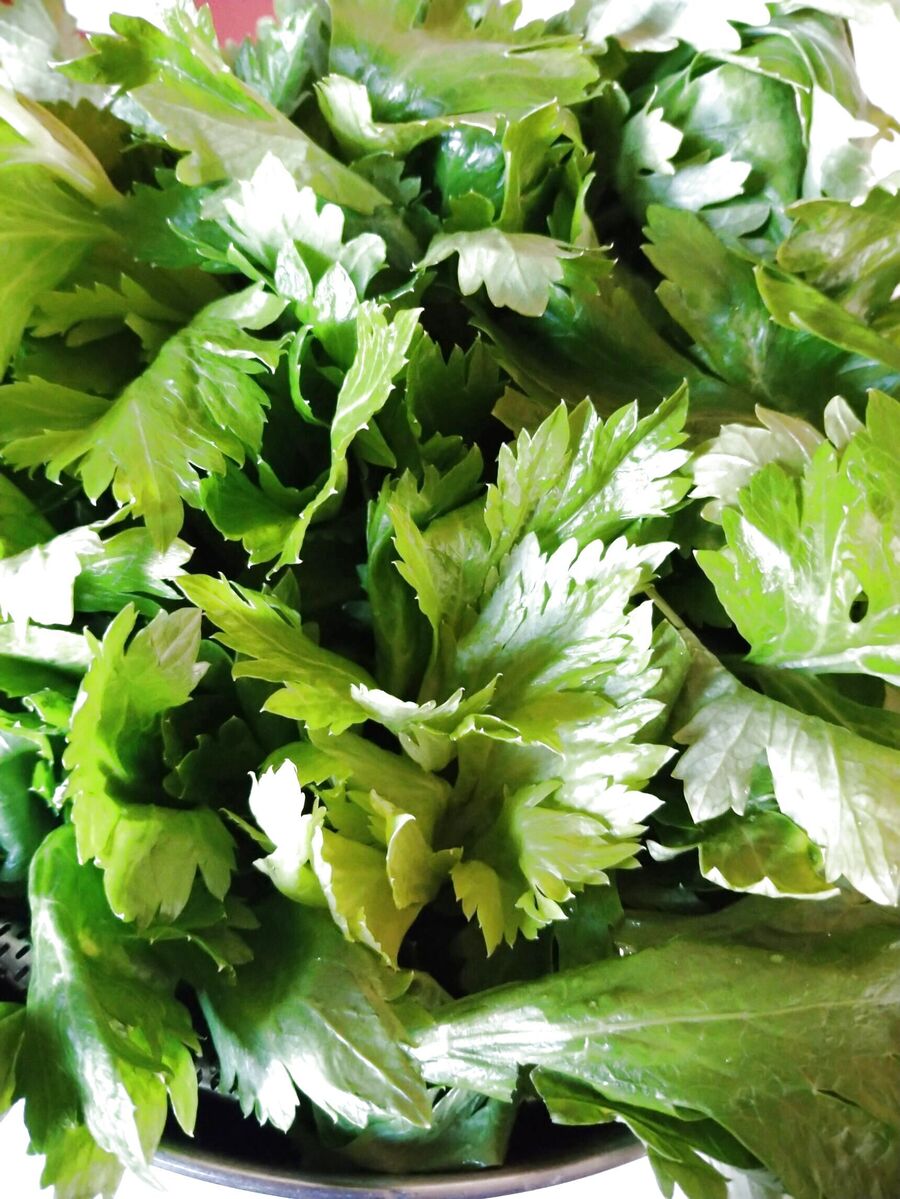 セロリが 安っす い時 には 料理のレシピや作り方 暮らしニスタ セロリが 安っす い時 には 料理のレシピや作り方 暮らしニスタ