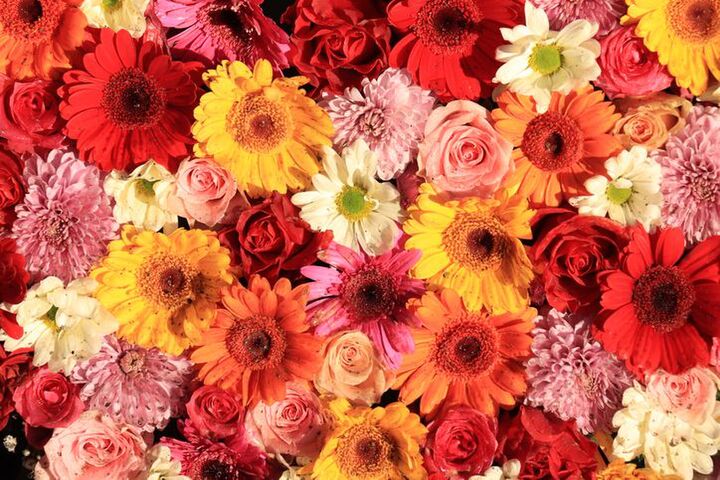 金運&財運に効果絶大!ツキを呼ぶお花の選び方&飾り方【花風水】