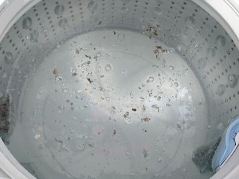 洗濯機の掃除方法を徹底解説 塩素系 酸素系 重曹のなかで効果的なのはどれ 暮らしニスタ 洗濯機の掃除方法を徹底解説 塩素系 酸素系 重曹のなかで効果的なのはどれ 暮らしニスタ