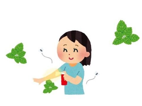 ハッカ油スプレーの作り方と 使用法7選 バスオイルから虫除けまで幅広く使える万能スプレーの使い方 暮らしニスタ ハッカ油スプレーの作り方と 使用法7選 バスオイルから虫除けまで幅広く使える万能スプレーの使い方 暮らしニスタ