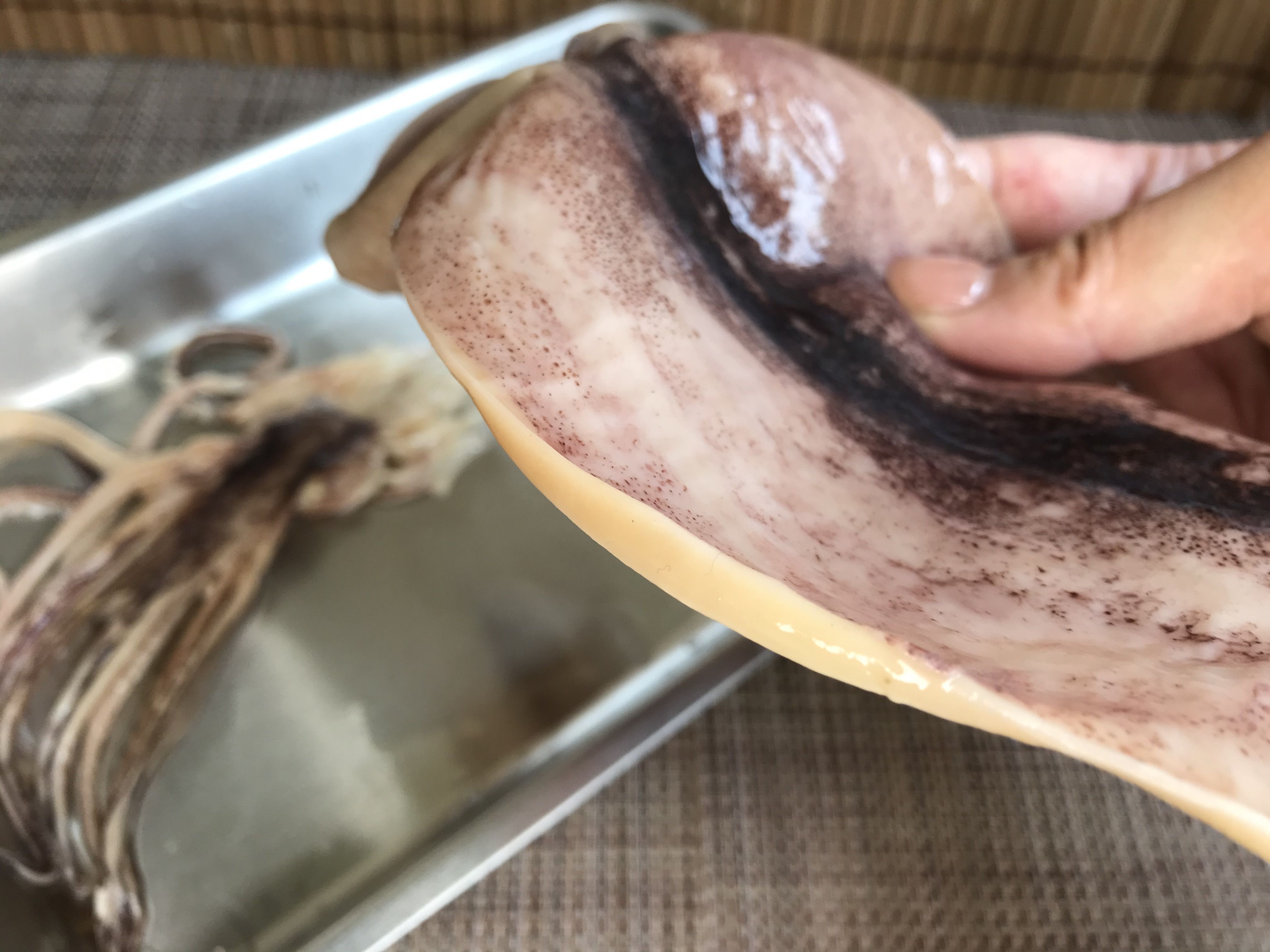 おせちで余ったスルメ活用 柔らか味しみイカ大根 スルメの上手な戻し方も 暮らしニスタ