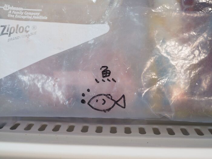 魚はジップロックで保存。